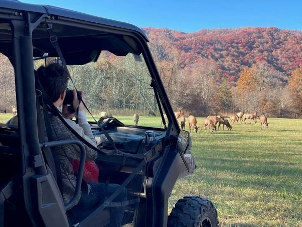 Man in a UTV taking pictures of wildlife